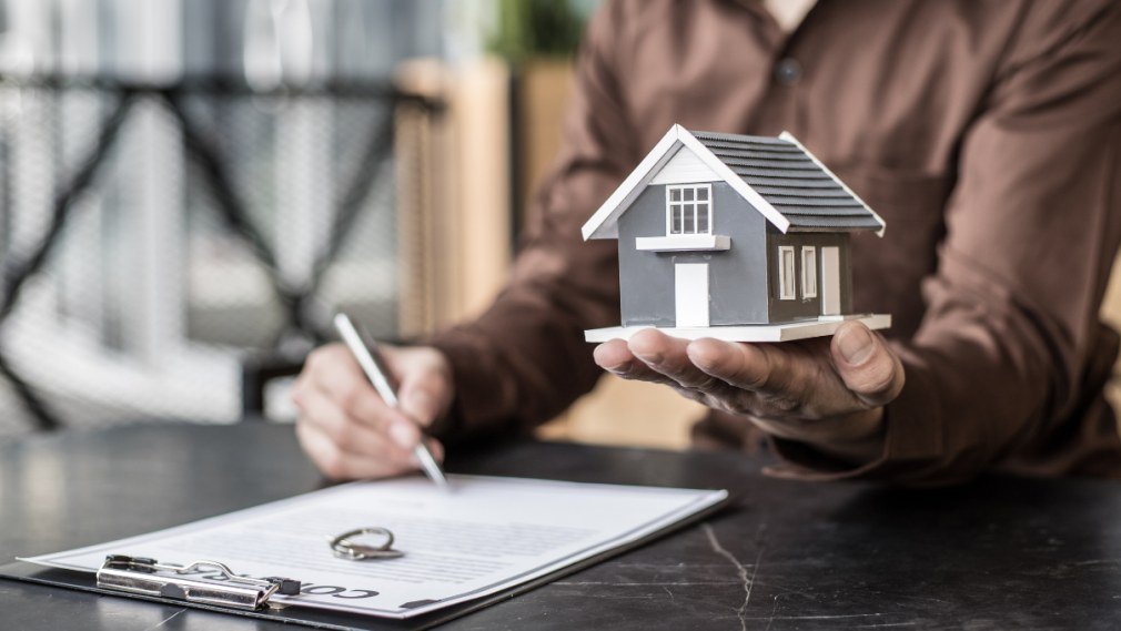 Property Maintenance